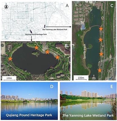 The Effects of Artificial Lake Space on Satisfaction and Restorativeness of the Overall Environment and Soundscape in Urban Parks